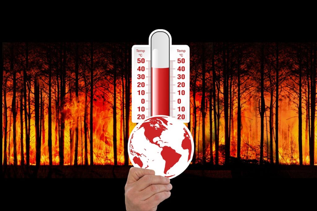 climate change, thermometer, forest fire, forest, fire, heat, flames, temperature, globe, warming, global, global warming, hot, warmth, climate, earth, nature, change, climate change, global warming, global warming, global warming, global warming, global warming